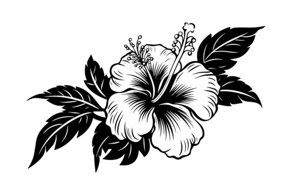 Hibiscus Blommor Vintage Träsnitt Graverad Etsning Stil Vektorillustration — Stock vektor