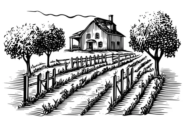 Ландшафтный Стиль Гравировки Виноградников Винтажная Векторная Иллюстрация Ручной Работы — стоковый вектор