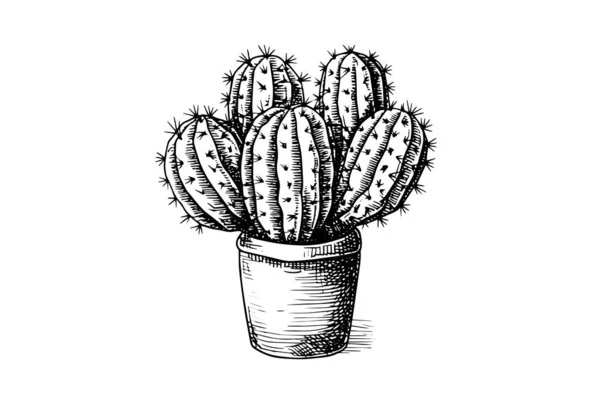 Boceto Tinta Dibujada Mano Cactus Grabado Estilo Vector Ilustración — Vector de stock