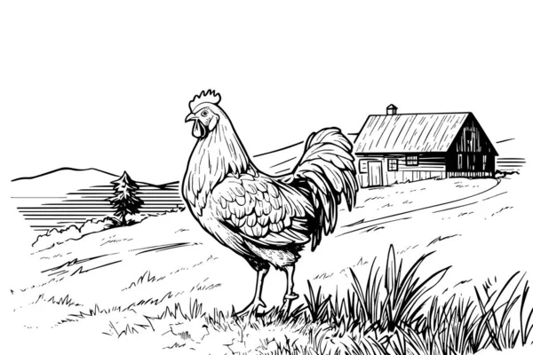 農場のスケッチで鶏たち ヴィンテージ彫刻スタイルの農村風景 ベクターイラスト — ストックベクタ