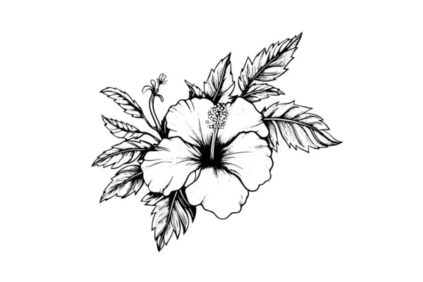 Цветы Гибискуса Старинном Стиле Гравюры Дереве Векторная Иллюстрация — стоковый вектор