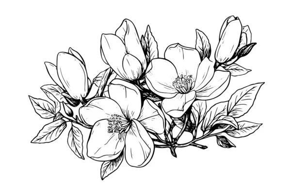 Met Hand Getekend Magnolia Bloem Inkt Schets Graveren Stijl Vector — Stockvector