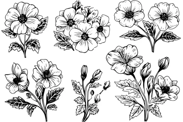 Elément Illustration Vectoriel Cosmétique Isolé Gravure Noir Blanc Style Encre — Image vectorielle