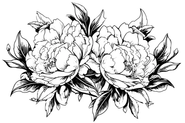 Pivoine Fleur Feuilles Dessin Illustration Encre Gravée Main Vectorielle — Image vectorielle