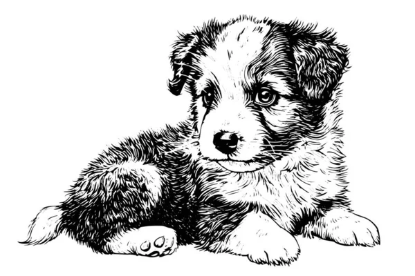 Lindo Cachorro Dibujado Mano Boceto Tinta Perro Grabado Estilo Vector — Vector de stock