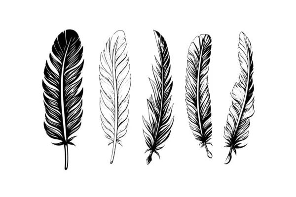 Vintage Feather Quill Etching Style Sketch Vector Engraving Style Illustration — Stock Vector