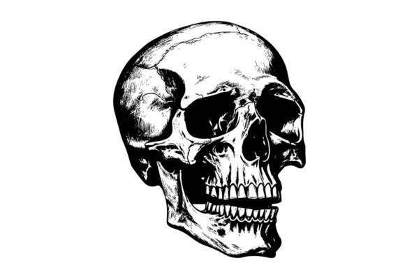 Schizzo Del Cranio Umano Disegnato Mano Stile Xilografico Illustrazione Schizzo — Vettoriale Stock