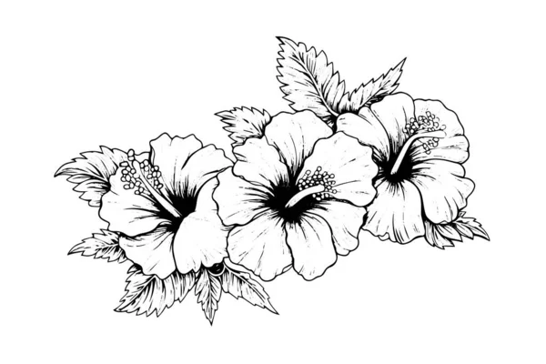 Hibiskus Kwiaty Stylu Vintage Drzeworyt Grawerowane Wytrawianie Ilustracja Wektora — Wektor stockowy