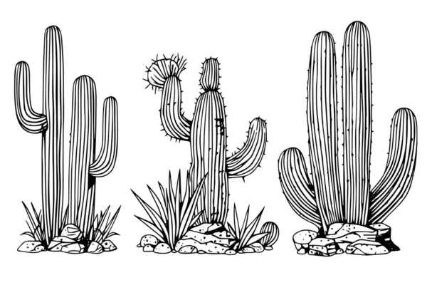 Sada Kaktusů Rytém Stylu Vektorové Ilustrace Kaktus Ručně Kreslený Náčrt — Stockový vektor