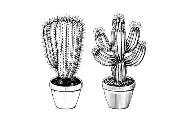 Kaktuszok Kézzel Rajzolt Tintás Vázlata Gravírozási Stílus Vektor Illusztráció — Stock Vector