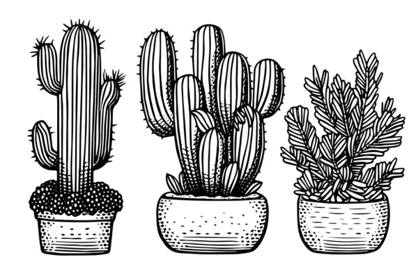 Conjunto Cactus Estilo Grabado Ilustración Vectorial — Vector de stock