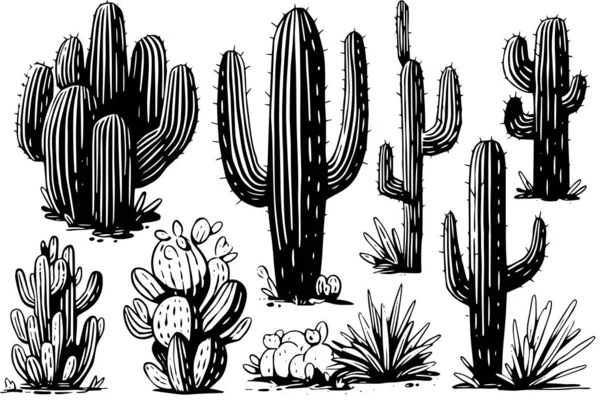 Set Cactus Engraving Style Vector Illustration Cactus Hand Drawn Sketch — Stock Vector
