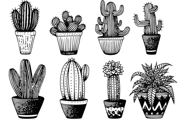 Uppsättning Kaktus Gravyr Stil Vektor Illustration Kaktus Handritade Skiss Imitation — Stock vektor