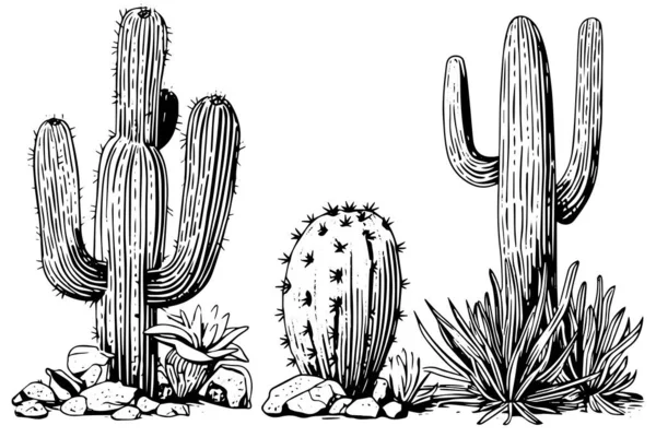 Zestaw Kaktusów Stylu Grawerowania Wektor Ilustracji Kaktus Ręcznie Rysowane Imitacja — Wektor stockowy