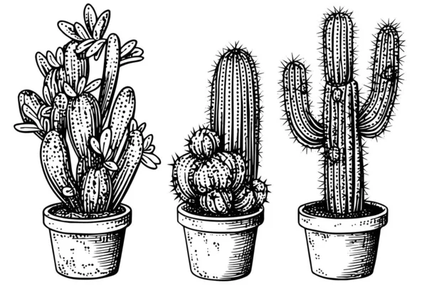 Serie Cactus Nell Illustrazione Del Vettore Stile Incisione Imitazione Disegnata — Vettoriale Stock