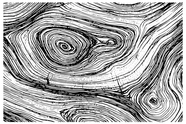 乾燥した木製のオーバーレイの質 デザインのテンプレート 空の背景のパターン 彫刻されたスタイルのベクトルイラスト — ストックベクタ