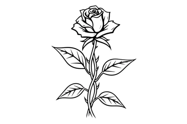 Elegante Rose Vintage Einfache Zeilenkunst Handgezeichnete Tuschezeichnung Graviervektorillustration — Stockvektor