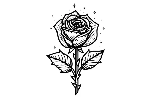 Elegantní Rose Ročník Jednoduchý Line Art Ručně Kreslená Kresba Inkoustu — Stockový vektor