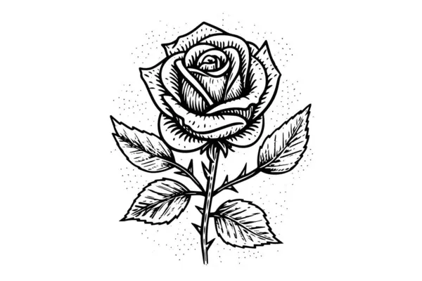 Elegante Rose Linea Vintage Semplice Art Schizzo Inchiostro Disegnato Mano — Vettoriale Stock