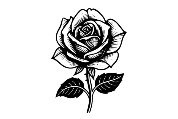 Růžová Květinová Ručně Kreslená Kresba Obrázek Vektoru Stylu Gravírování Stock Vektory