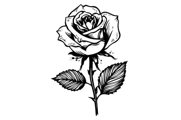 Růžová Květinová Ručně Kreslená Kresba Obrázek Vektoru Stylu Gravírování Royalty Free Stock Vektory