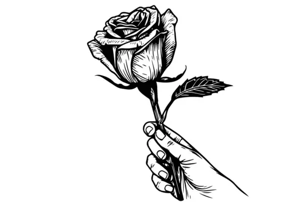 Růže Ruce Nakreslená Inkoustem Obrázek Vektoru Stylu Gravírování Royalty Free Stock Vektory