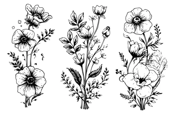 Ručně Kreslený Inkoustový Náčrt Luční Sady Divokých Květin Vektorová Ilustrace Stock Ilustrace