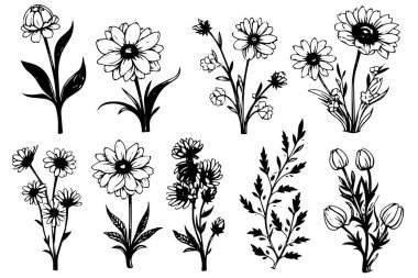 Elle çizilmiş çayırlık çiçek seti çizimi. İşlenmiş biçim vektör illüstrasyonu