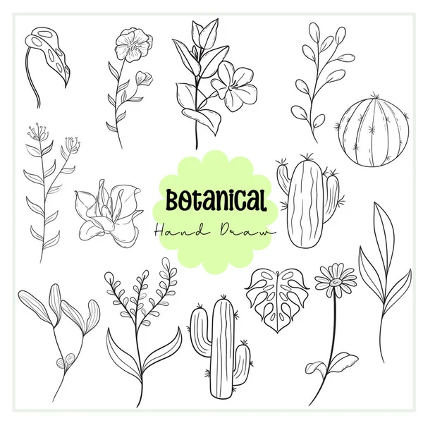 Set of Botanical Line Art Vector, Flowers and Cactus