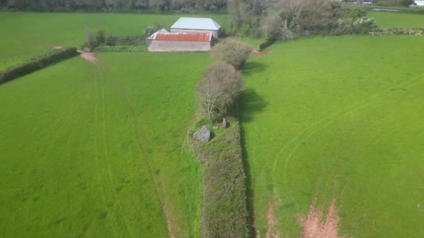 Broadnels Torbay Devon Ngiltere 3600 Yılında Bir Neolitik Mezar Yıkıldı — Stok video