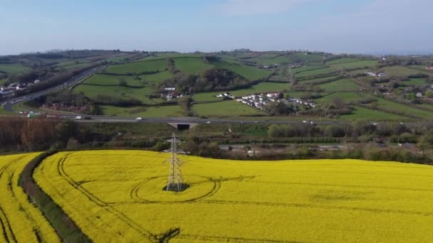 Kingskerswell Devon Anglia Pole Naftowe Rzepaku Różne Drone Aerial Views — Wideo stockowe