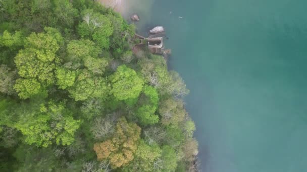 英格兰德文郡托尔湾的Elberry Cove Drone Aerial Views Drone展示了绿色树梢和海的截然相反的色彩 维多利亚时代的澡堂 游泳者的Elberry Cove 附近的田野 — 图库视频影像