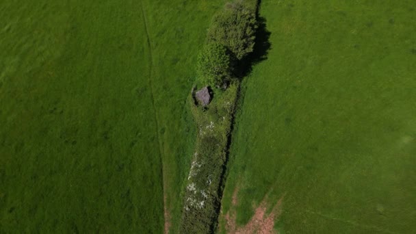 Broadsands South Devon England Kollapsad Neolitisk Grav Gravkammare Graven Torbays — Stockvideo