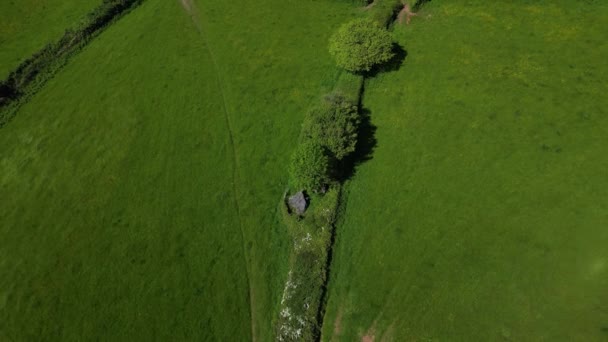 Broadsand South Devon Anglia Zawalona Neolityczna Komora Grobowa Grób Jest — Wideo stockowe