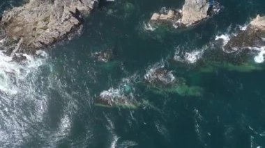 Godrevy Adası, Cornwall, İngiltere: DRone VieWS: Ada ve Godrevy deniz feneri. Godrevy deniz feneri ilk olarak 1 Mart 1859 'da faaliyete başladı ve birçok can alan yakınlardaki Stones Resifi' nden geçen gemileri uyarmak için inşa edildi (5.).