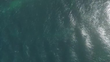 Godrevy Point, Cornwall, İngiltere: DRONE VieWS: Godrevy Point 'teki deniz dalgaları, kayalar, uçurumlar ve patikaların doğrudan ve tepeden görünüşü. Nokta Godrevy deniz feneri için bir bakış açısıdır ve bölge popüler bir İngiltere tatil beldesidir (Klip 3).