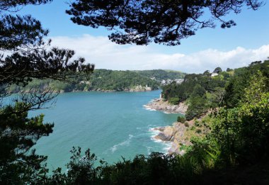 River Dart, Güney Devon, İngiltere: DRONE VİEWS: nehir dartının ağzındaki engebeli kıyı şeridi nehrin Kingswear tarafından izlendi. Güney Devon ve Dartmouth İngiltere 'de popüler tatil merkezleridir (PHOTO 1).