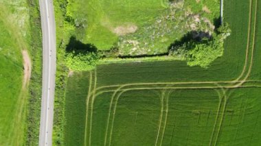 Hillhead, Brixham, Güney Devon, İngiltere: DRONE VİEWS: Eski bir rezervuardaki hatalı bir su vanası Cryptospiridium salgınının kaynağıydı. Brixham bölgesindeki buğulanmış yerel su, hastalık ve ishal vakalarına yol açmıştır (Clip 2).