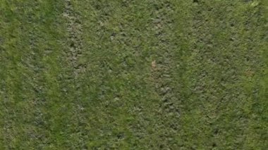 Paignton, Güney Devon, İngiltere: DRONE VİEWS: İHA bir takım kale direğinin üzerinden uçarken bir ragbi sendikası sahasının doğrudan, tepeden görünüşü. Saha, Clennon Vadisi 'nin yakınlardaki Torbay Eğlence Merkezi' nin yanındaki oyun sahalarının bir parçası..