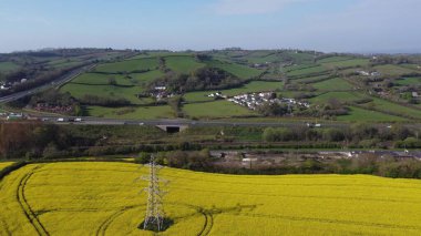 Kingskerswell, Güney Devon, İngiltere: Kolza tohumu bitkilerinin yüksek açılı manzarası, bir elektrik direği, elektrik hatları ve yakınlardaki çift katlı karayolu. Devon ekilebilir, ekilebilir ve hayvancılık için önemli bir bölgedir..