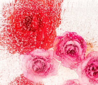 Renkli soyut güzel suluboya buz çiçekleri, 