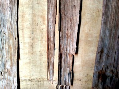 Ahşap doku. Doğal arkaplan, yakın plan