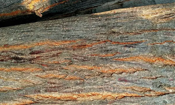 Koyu ahşap desen arka plan yüzeyi, eski doğal desen. Ahşap kabuk arkaplanının kapanışı.