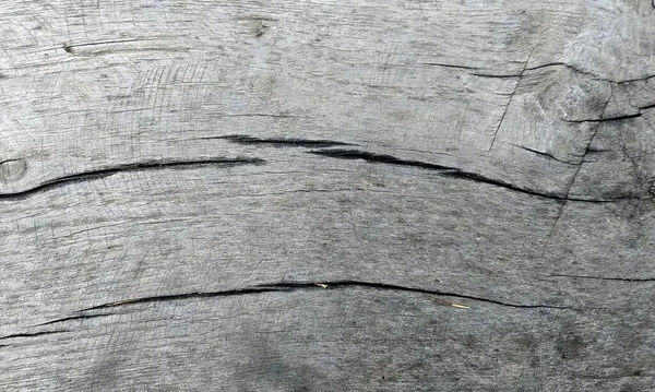 Çok detaylı ağaç kabuğu dokusu, arkaplan için ahşap desen