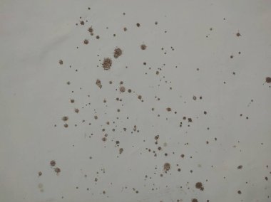 Doğal çimento veya taş eski dokunun antika bir duvar veya metafor duvar afişi, grunge, materyal, yaşlanma, pas veya yapılandırmanın klasik veya grungy beyaz arka planı. Arka plan için beton duvar dokusu.