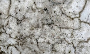 Eski, sıkıntılı, kirli ve pürüzlü arka plan tasarımı soluk grunge dokusuyla. Parşömen dokusu. Parşömen arkaplanı için cesur, çiçek desenli, aşınmış bir doku..