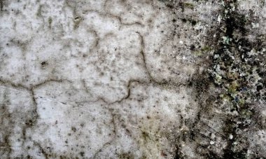 Eski, sıkıntılı, kirli ve pürüzlü arka plan tasarımı soluk grunge dokusuyla. Parşömen dokusu. Parşömen arkaplanı için cesur, çiçek desenli, aşınmış bir doku..