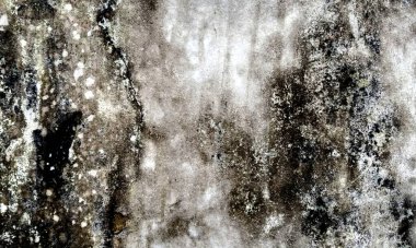 Eski, sıkıntılı, kirli ve pürüzlü arka plan tasarımı soluk grunge dokusuyla. Parşömen dokusu. Parşömen arkaplanı için cesur, çiçek desenli, aşınmış bir doku..