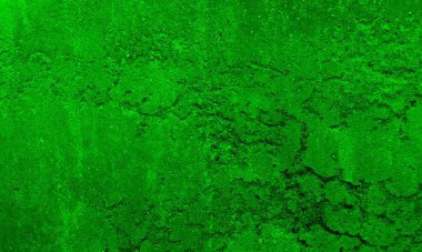 Yeşil duvarın dokusu. Tasarım için soyut arkaplan. 