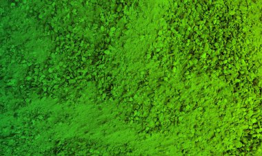 Yeşil duvarın dokusu. Tasarım için soyut arkaplan. 